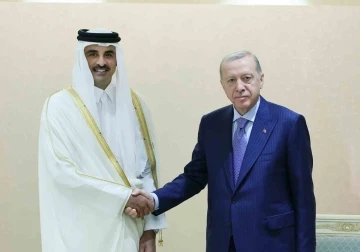 Cumhurbaşkanı Erdoğan, Katar Emiri Hamed Al Sani ile görüştü
