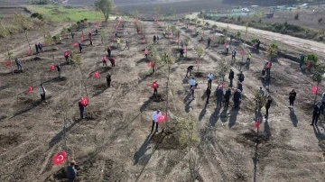 Cumhuriyet’in 100. yılı anısına “100. Yıl Cumhuriyet Ormanı” oluşturuldu
