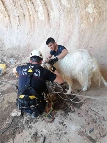 Dağda mahsur kalan keçi 6 saatlik çalışmayla kurtarıldı
