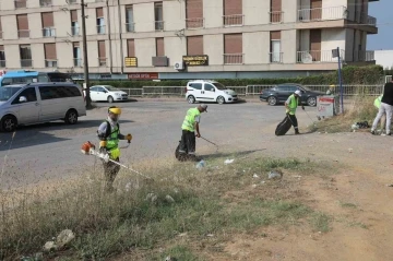 Darıca yaz temizliği
