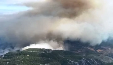 Datça’daki orman yangını havadan görüntülendi
