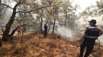 Datça’daki orman yangınına kolluk kuvvetleri de müdahale etti
