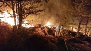 Datça’daki orman yangınında çalışmalar gece de devam ediyor
