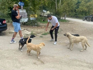 Demir yumruklar sokak hayvanlarını besledi
