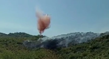 Demre’de makilik yangını korkuttu
