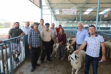 Denizli’de damızlık koç ve teke dağıtımı sürüyor
