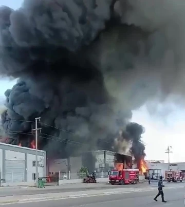 Denizli’de geri dönüşüm tesisinde yangın
