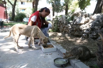 Denizli’de Pet Kafe ve Mama Üretim Tesisi yoğun mesai harcıyor
