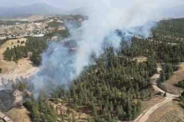 Denizli’de yerleşim yerlerine yakın bölgede orman yangını çıktı
