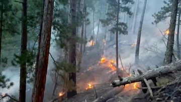 Denizli’deki orman yangını kontrol altına alındı
