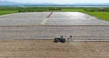 Deprem tarımı da vurdu, mevsimlik işçi bulunamıyor