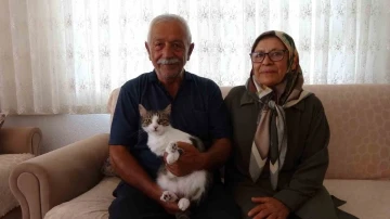 Depremde kaybettikleri kedilerini geri dönüp 5 ay sonra buldular
