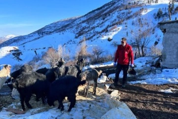 Depremin 17. gününde 25 hayvan enkaz altından sağ çıkarıldı