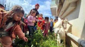 Depremzede çocuklar, enkazdan çıkartılan hayvanları sevdi