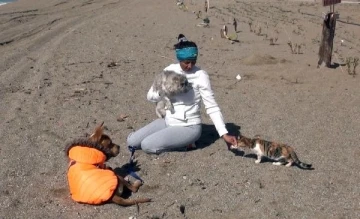 Depremzede kedi 'Anka'nın kader arkadaşı, afetzede köpek 'Deka'