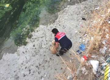 Derede mahsur kalan köpeği itfaiye kurtardı
