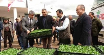 Devlet çiftçiye destek verdi, bağ bahçe sebze fidesiyle dolacak