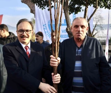 Devlet desteği ile çiftçilere 53 bin adet fidan dağıtıldı
