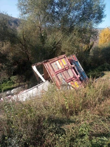 Direksiyonu kitlenen sebze yüklü kamyon şarampole uçtu
