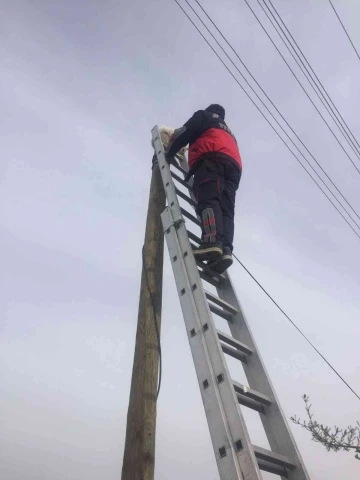 Direkte mahsur kalan kedi kurtarıldı
