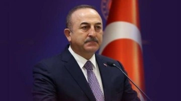 Dışişleri Bakanı Çavuşoğlu, İsveçli mevkidaşı ile görüştü