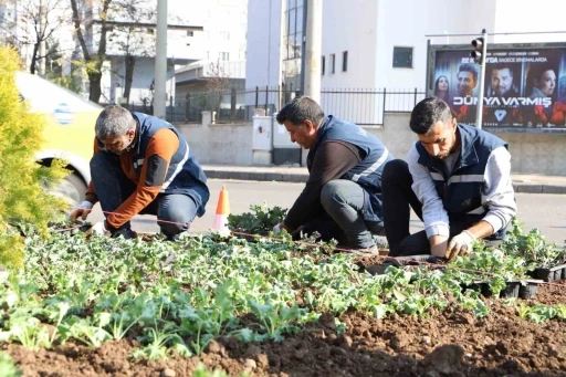 Diyarbakır 1 milyon çiçekle renkleniyor
