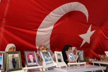 Diyarbakır annelerinden Esmer Koç: '10 senedir kızım için çalmadığım kapı kalmadı'