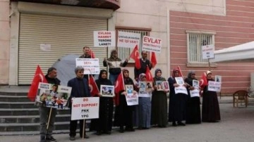 Diyarbakır Anneleri'nin oturma eylemindeki aile sayısı 324'e yükseldi