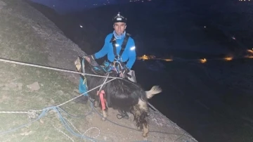 Diyarbakır’da 3 gün kayalıklarda mahsur kalan keçi kurtarıldı
