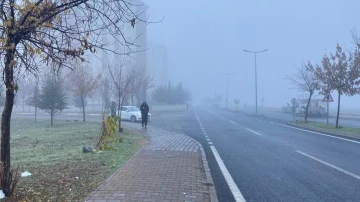 Diyarbakır’da 4 gündür etkili olan sis nedeniyle uçak seferleri iptal edildi
