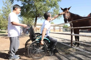 Diyarbakır’da engellilere verilen at ile terapi hizmeti yeniden başladı
