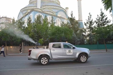 Diyarbakır’da ilaçlama çalışmaları aralıksız devam ediyor
