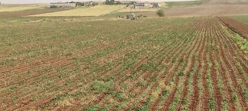 Diyarbakır’da yıldırım çarpması sonucu bir çocuk öldü
