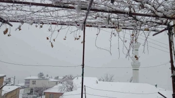 Diyarbakır’da yılın ilk karı her yeri beyaza bürüdü
