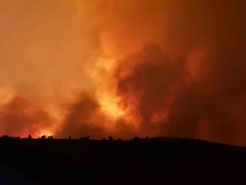 Diyarbakır’ın Çınar ilçesinde kırsal alanda çıkan yangın, geniş alana yayıldı. Bölgeye çok sayıda AFAD, itfaiye ve sağlık ekibi sevk edildi.
