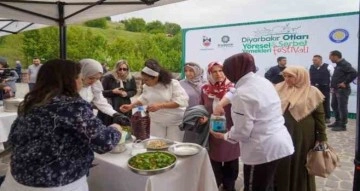 Diyarbakır otları ve şerbet festivali