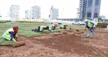 Diyarbakır’da bulvar yeşillendirme çalışmaları devam ediyor