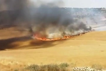 Diyarbakır’da yaklaşık 130 dönümlük buğday tarlası küle döndü