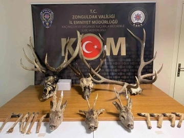 Doğa Koruma’dan Emniyete teşekkür belgesi
