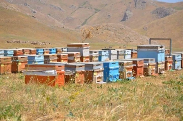 Doğal bal üreticileri tedirgin
