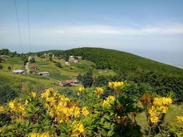 Doğaseverler ’Kocadağ Şenliği’nde buluşacak
