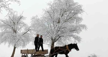 Doğu Anadolu’nun yüksek kesimlerinde kar yağışı