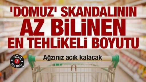 'Domuz' skandalının az bilinen en tehlikeli boyutu: Jelatin!