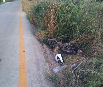 Domuza çarpan motosiklet sürücüsü ölümden döndü
