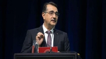 Dönmez: Doğalgaz ve elektrikte zam öngörümüz yok