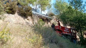 Dörtyol’da çıkan orman yangını söndürüldü
