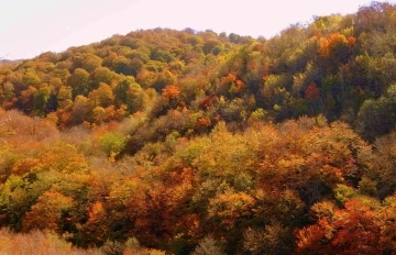 Dumanlı Yaylası’nın hayran bırakan sonbahar manzarası
