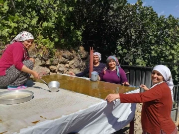 Dutun önemli geçim kaynağı olduğu Kemaliye’de kadınların zorlu pestil ve pekmez yapımı imece usulü ile eğlenceli hale geliyor
