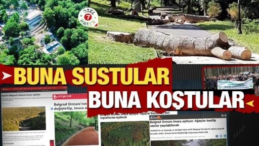 Duyarlı değil kumandalı çevrecilik:Katliamlarına sustukları İBB için orman eylemi yaptılar