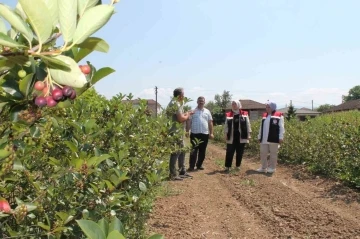 Düzce’de üretimi her geçen yıl artıyor
